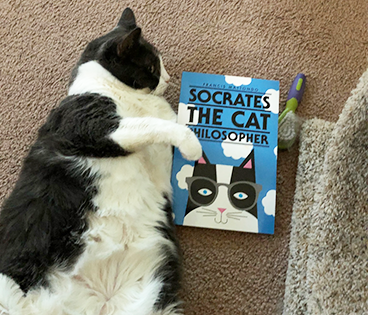 Socrates the Cat Philosopher